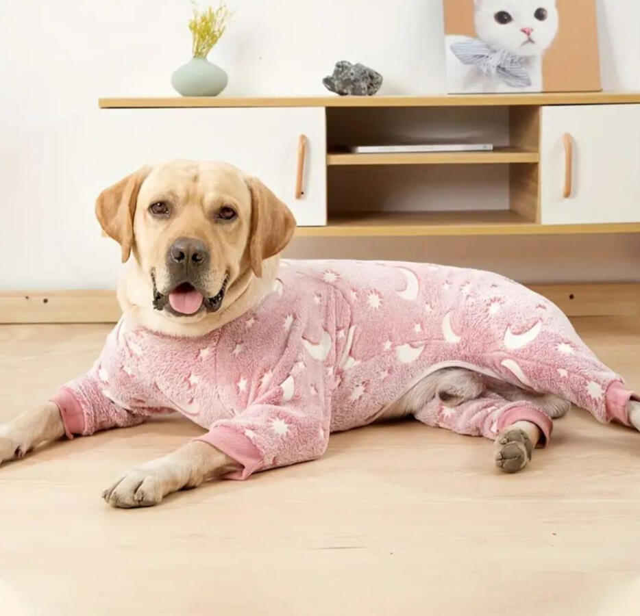 Dog Pajamas