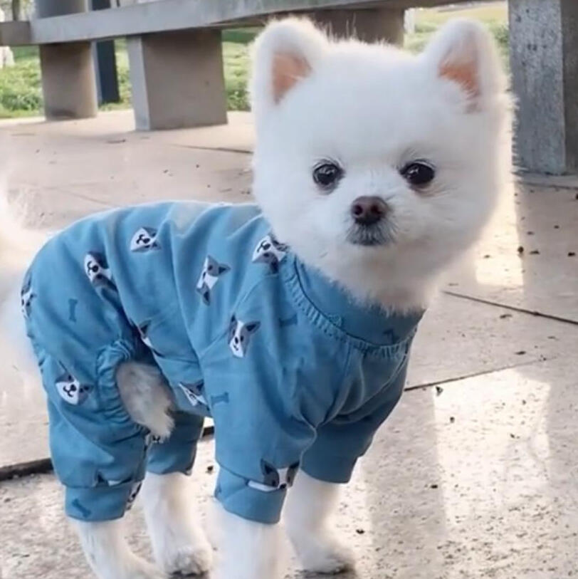 Dog Jumpsuit